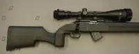 Howa .22 LR M1100