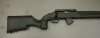 Howa .22 LR M1100