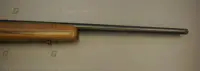 Marlin .22 LR XT-22