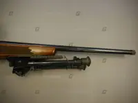 Tikka .243 M595