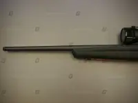 Savage Arms .17 HMR B17