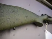 Weatherby .243 Vanguard 2 