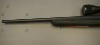Savage Arms .17 HMR B17