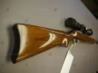 Ruger .22 LR 10/22 stainless