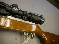 Ruger .22 LR 10/22 stainless