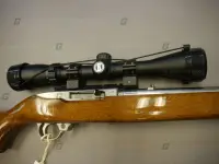 Ruger .22 LR 10/22 stainless