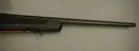 Savage Arms .243 Model 110 Hunter