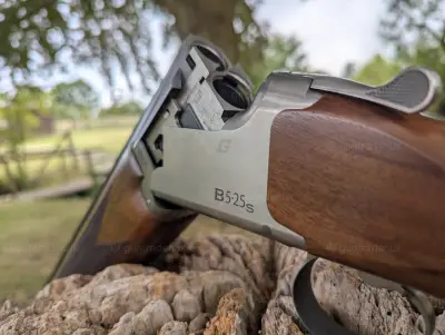Gun Image 2