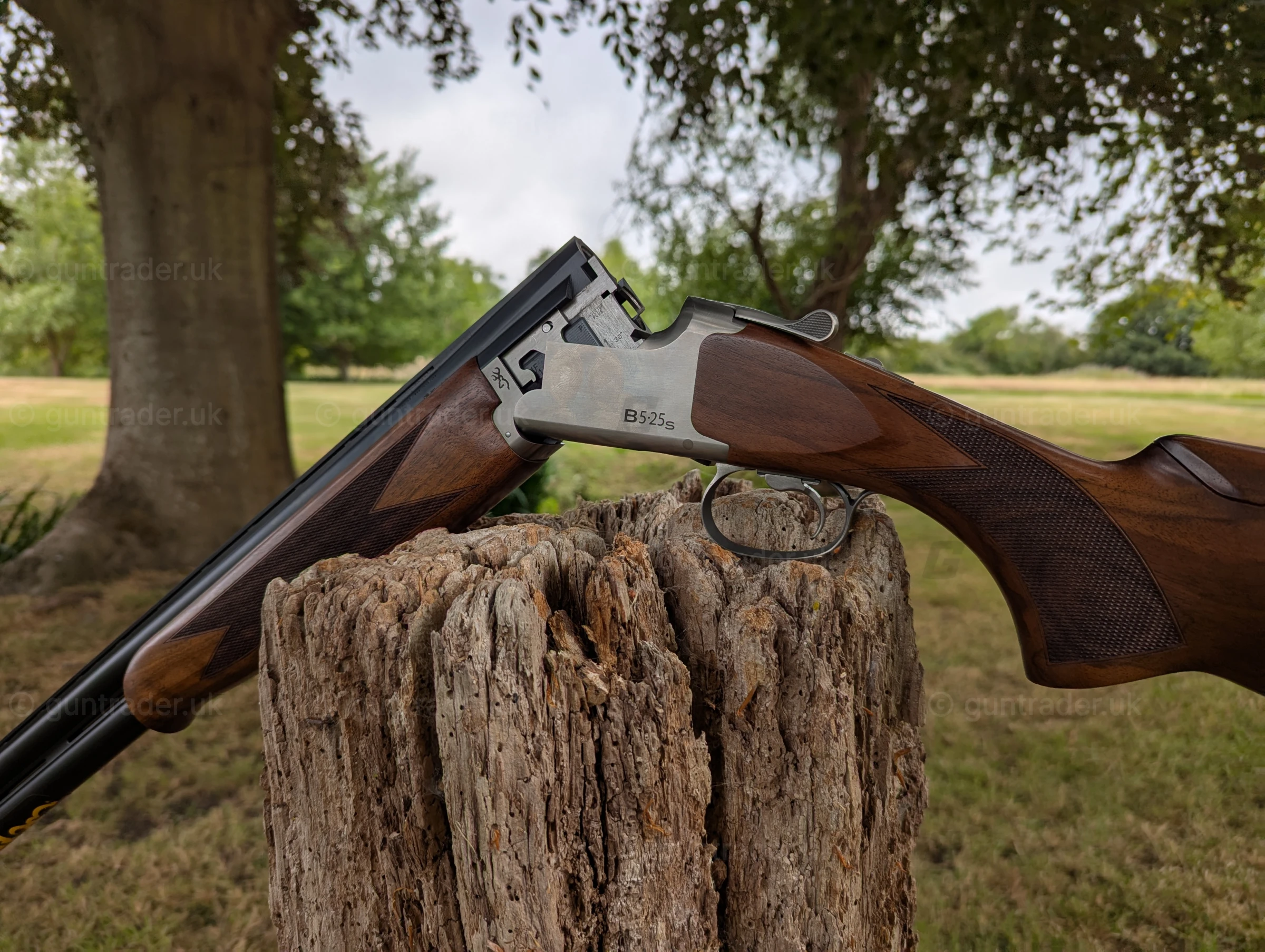 Photo of this gun