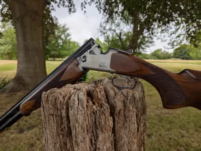 Gun Image 1